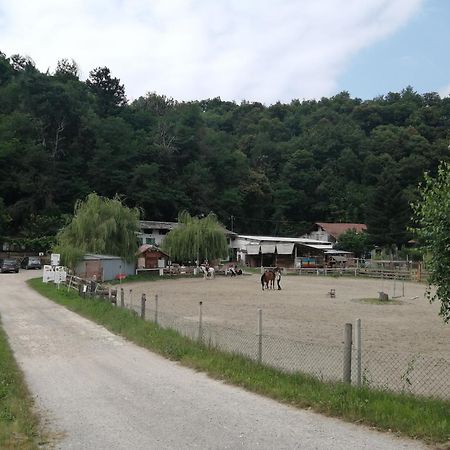 Locazione Turistica Varaita-Brossasco Εξωτερικό φωτογραφία